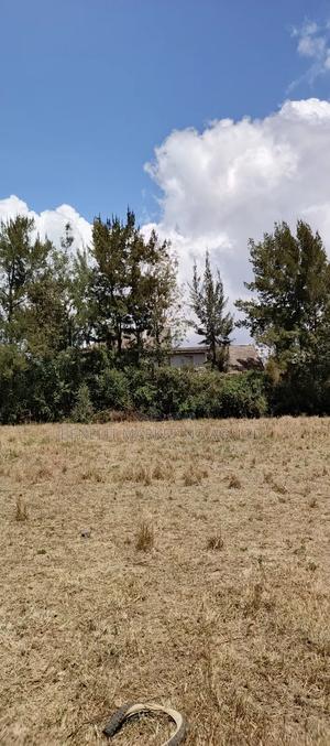 Quarter Acre Plot for Sale in Ngong - main view