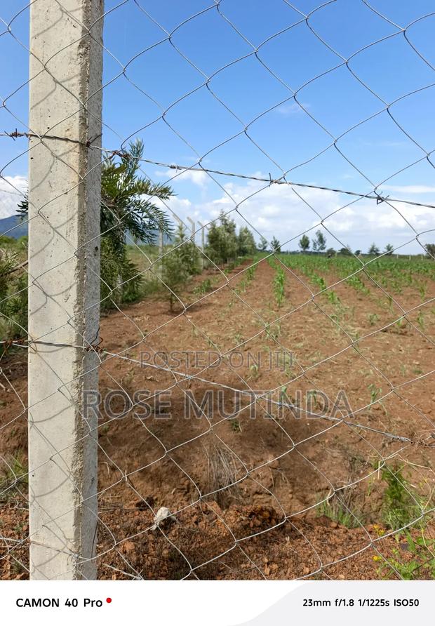 1andhalf Kyanzavi - main view