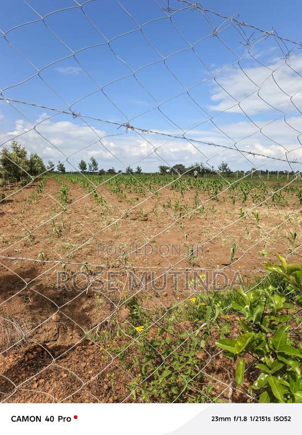 1andhalf Kyanzavi - thumbnail 3