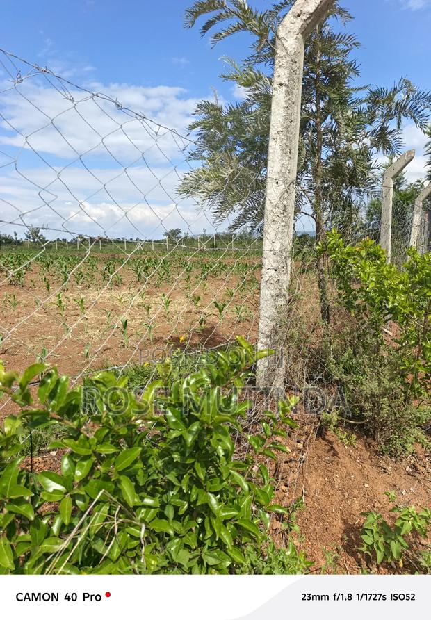 1andhalf Kyanzavi - thumbnail 4