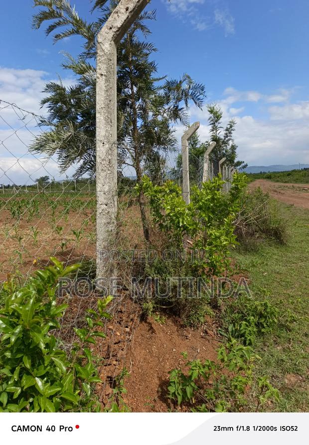 1andhalf Kyanzavi - thumbnail 5