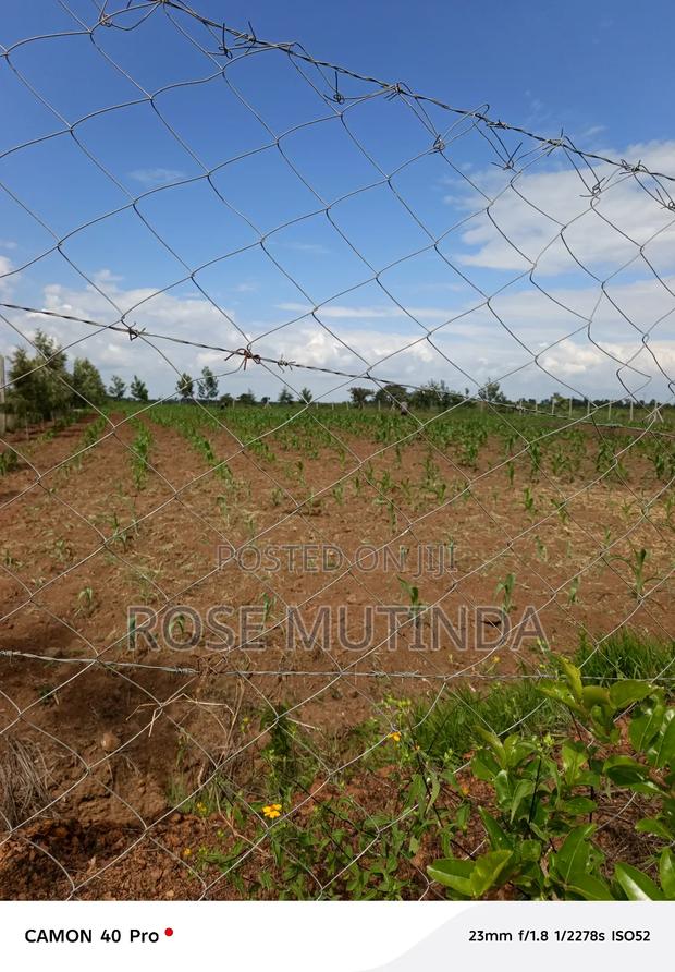 1andhalf Kyanzavi - thumbnail 6