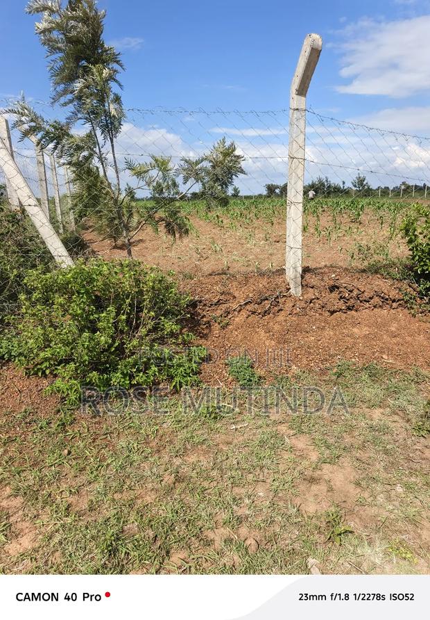 1andhalf Kyanzavi - thumbnail 7