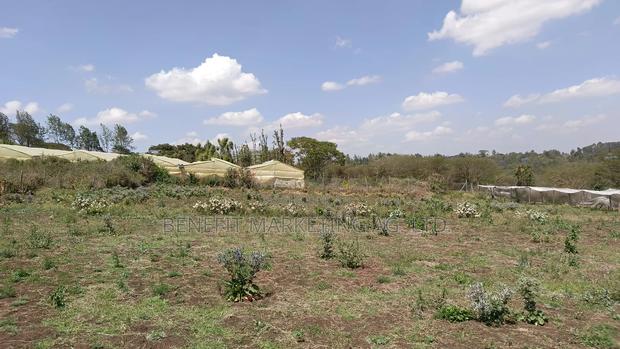 Half Acre Plot for Sale in Kiserian, St. Patrick's Road - thumbnail 3