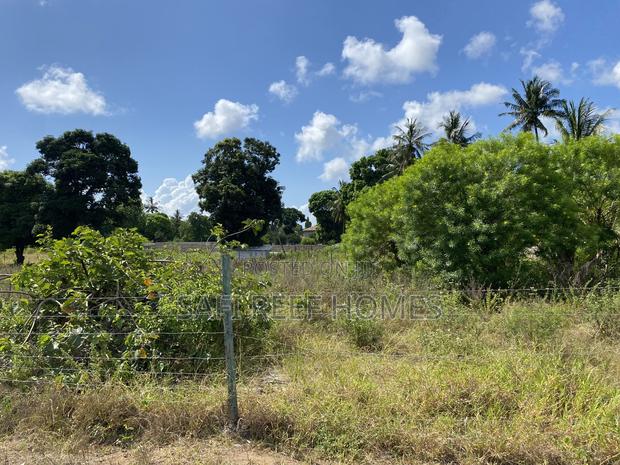 1/2 Acre With Ready Tittle in Kikambala Close to the Road - thumbnail 10