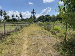1/2 Acre With Ready Tittle in Kikambala Close to the Road - thumbnail 2