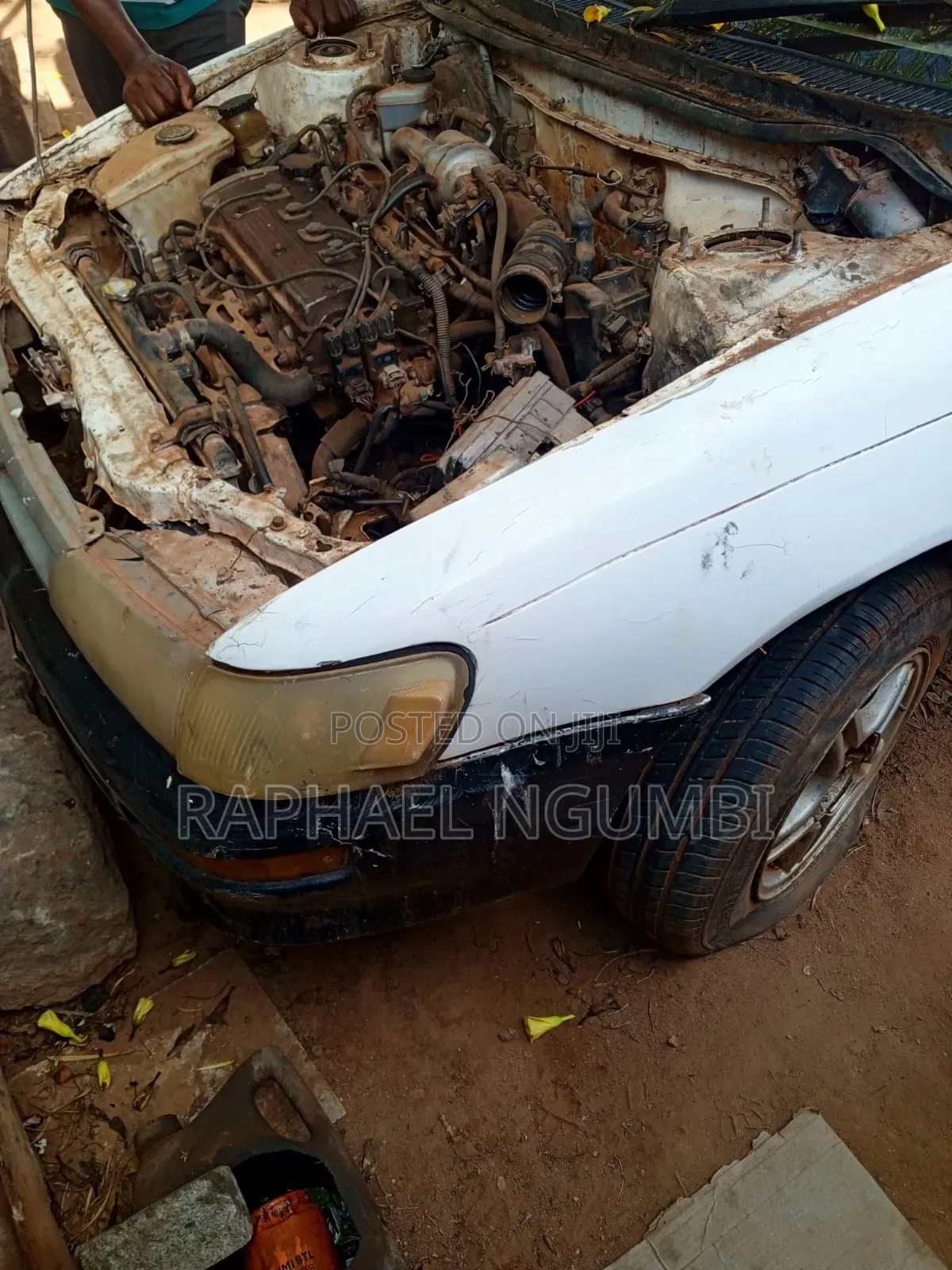 Toyota Corolla 2002 White