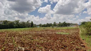 Half Acre Plot for Sale in Kerarapon Drive, Ngong