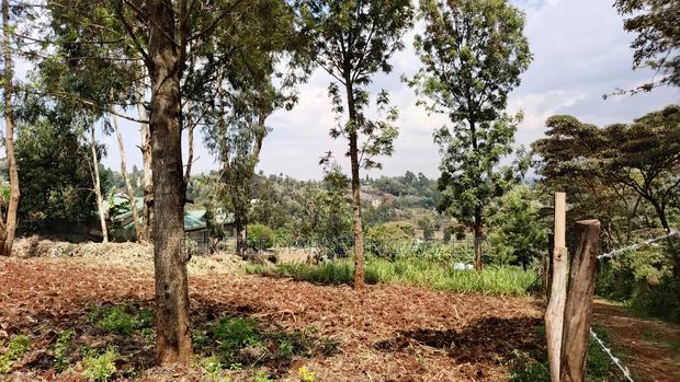 50*100 Plot for Sale in Ngong Lemiso Road - thumbnail 2