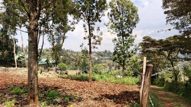 50*100 Plot for Sale in Ngong Lemiso Road - thumbnail 4