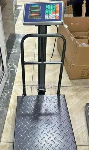 800kgs Platform Weighing Scale/ Electronised