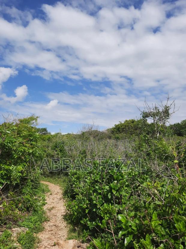 Tiwi Beach South Coast - thumbnail 5