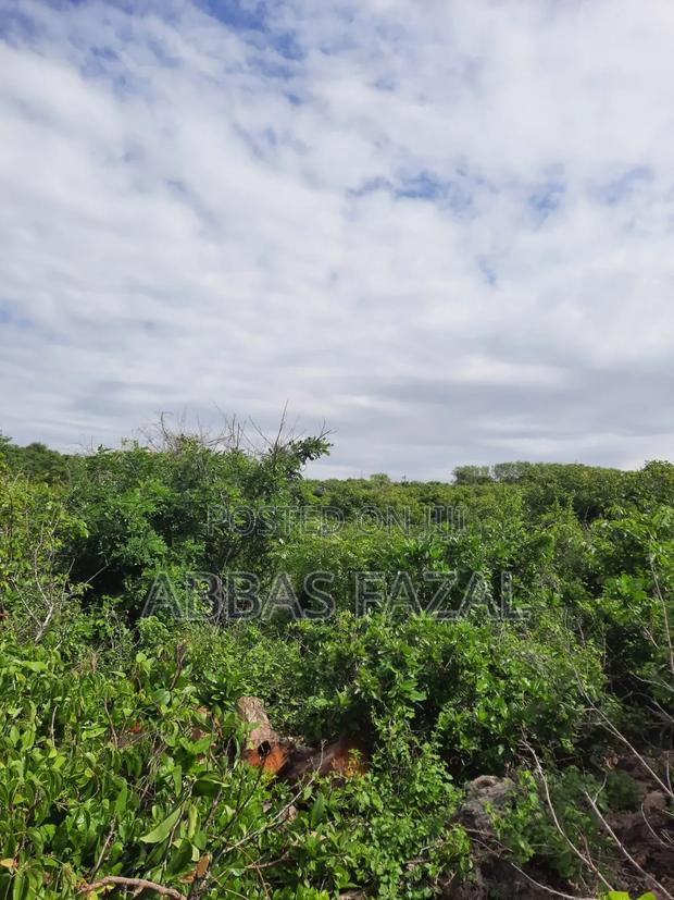 Tiwi Beach South Coast - thumbnail 8