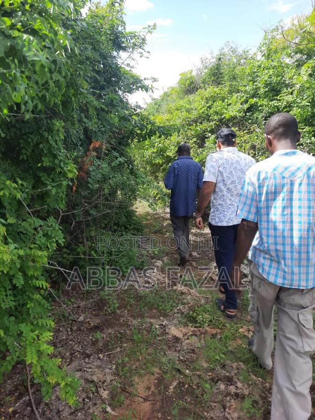 Tiwi Beach South Coast - thumbnail 11