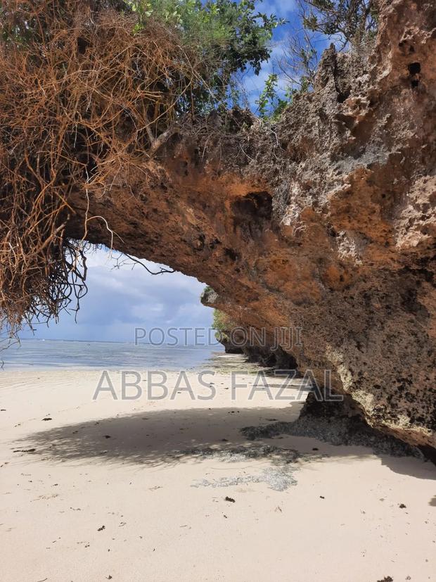 Tiwi Beach South Coast - thumbnail 14