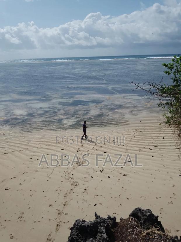Tiwi Beach South Coast - thumbnail 15