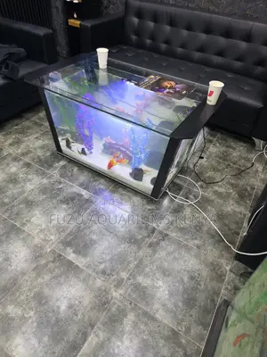 Black Framed Aquarium Coffee Table - Unique Look