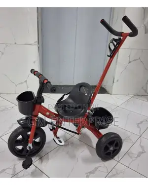 Tricycle With Push Handle and Safety Belts