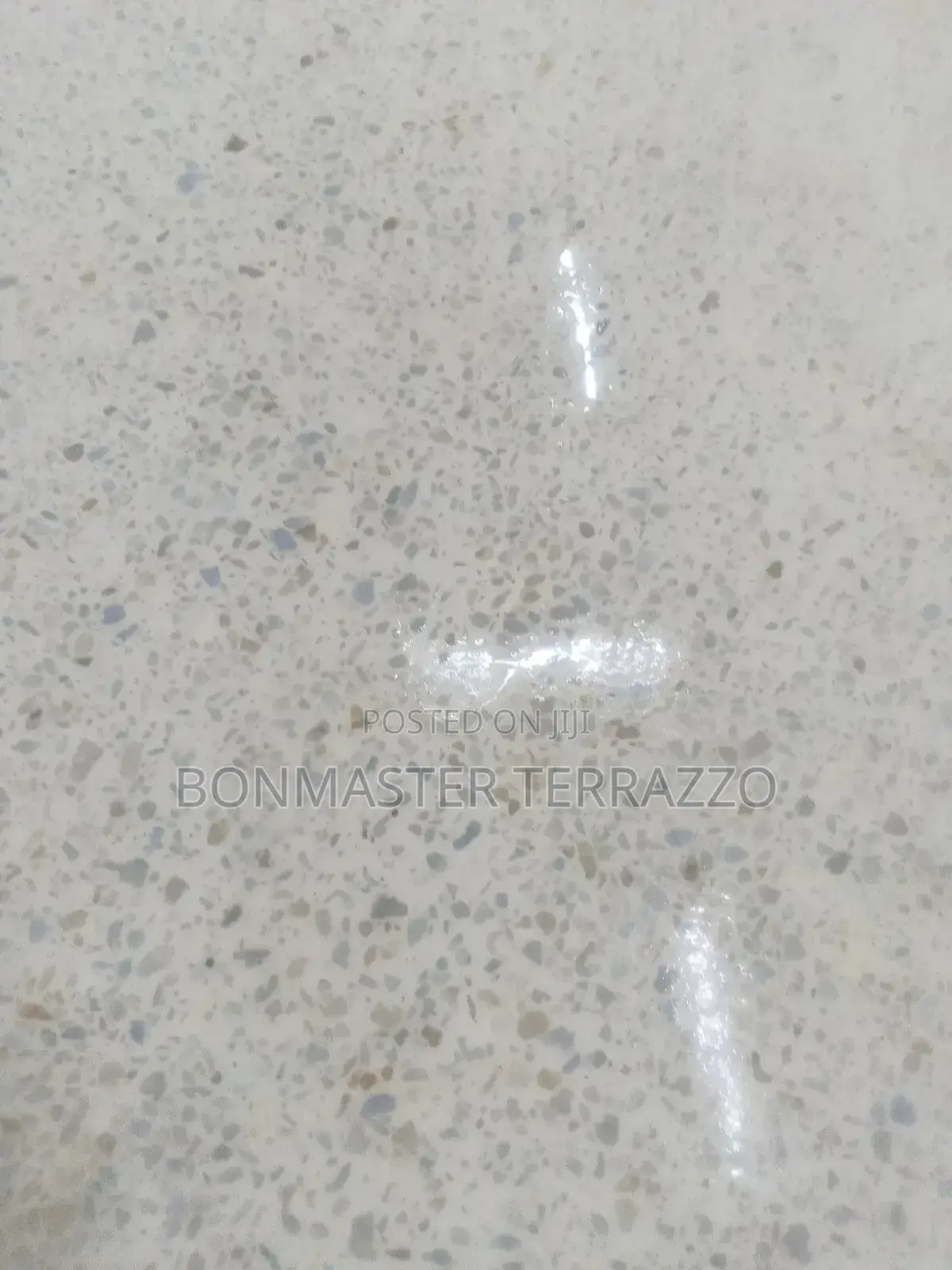 Neat Terrazzo Floor