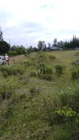 Prime Land in Muthaiga Nanyuki