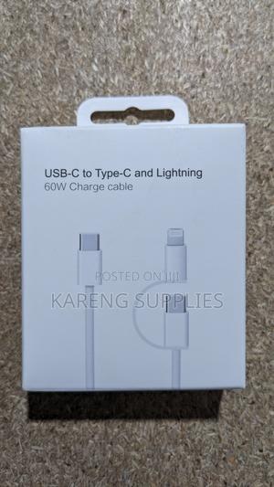 Usb-C to Type-C and Lightning - thumbnail 2