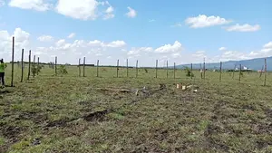80 by 80 Land for Sale With Ready Tittle Deed