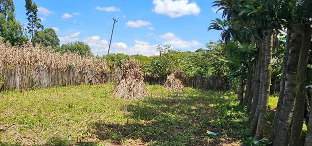 2bdrm House in Kuinet, Kimumu for sale - thumbnail 4