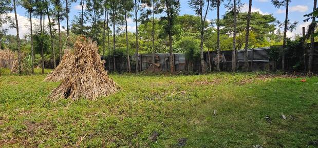 2bdrm House in Kuinet, Kimumu for sale - thumbnail 15