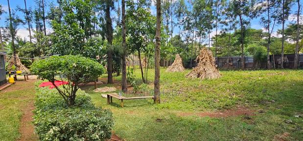 2bdrm House in Kuinet, Kimumu for sale - thumbnail 16