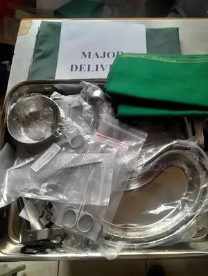 Major Delivery Set(Stainless Steel) - thumbnail 2