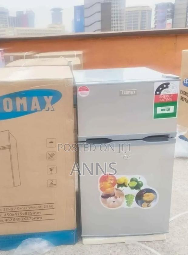 Ecomax 98 Litres Double Door Refrigerator (Silver Body) Ef98* - main view