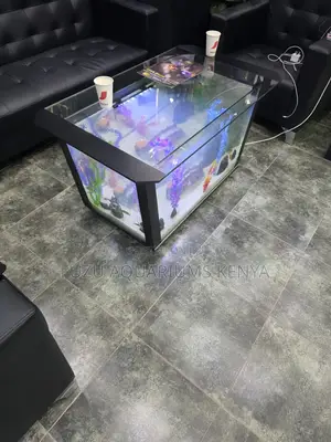  Promo: Unique Shape Aquarium Table + Fish