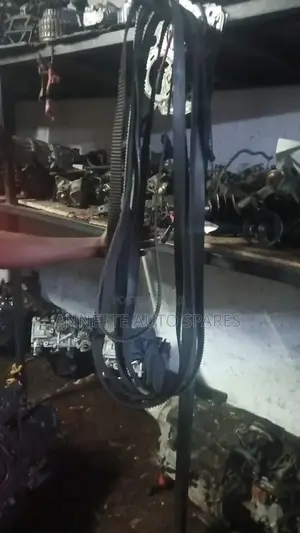4 Cam and 2 Cam223 and 221timing Belt Subaru Forester