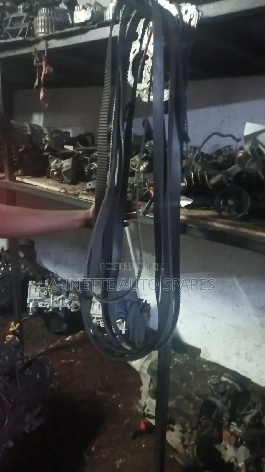 4 Cam and 2 Cam223 and 221timing Belt Subaru Forester