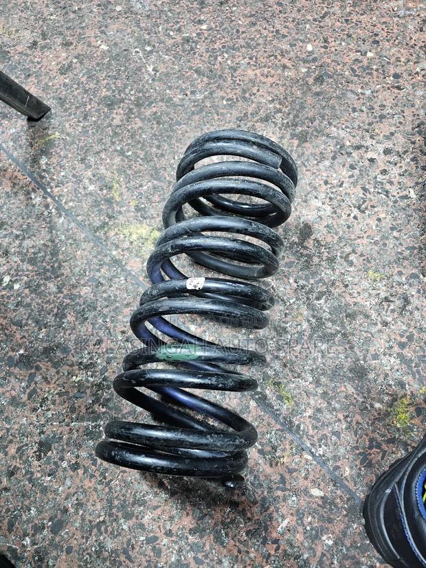 Rear Coil Springs Noah - main view