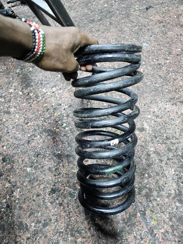 Rear Coil Springs Noah - thumbnail 2