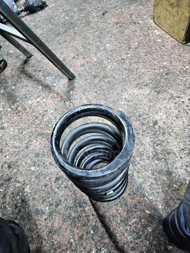 Rear Coil Springs Noah - thumbnail 3