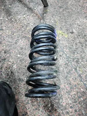 Rear Coil Springs Noah