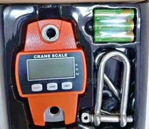 Crane Weighing Scale 300kgs