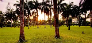 Furnished 12bdrm Villa in Galu Elite, Diani for sale