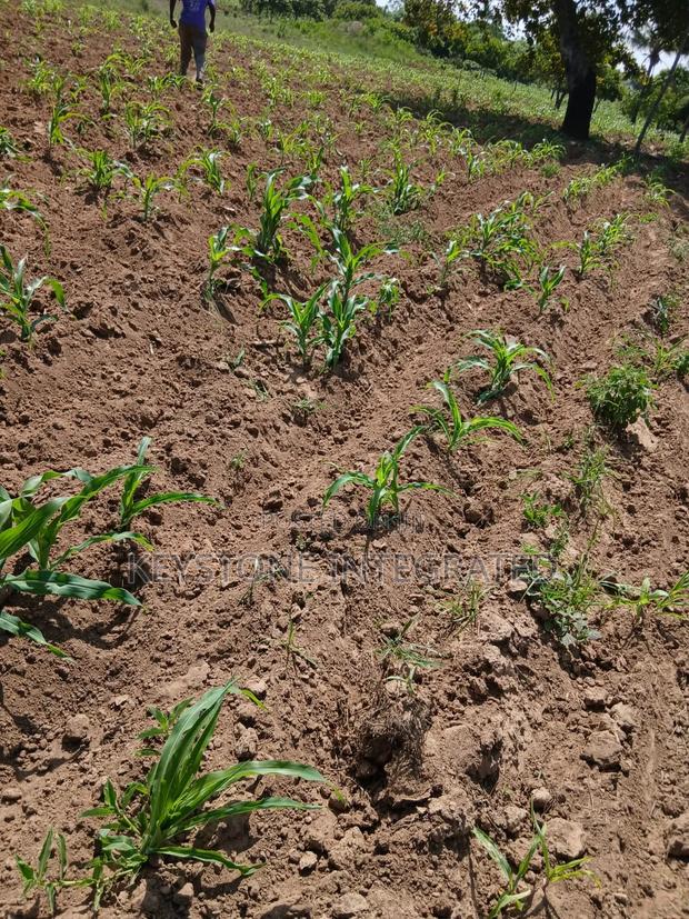 Gandini,Kwale Land for Sale - thumbnail 3