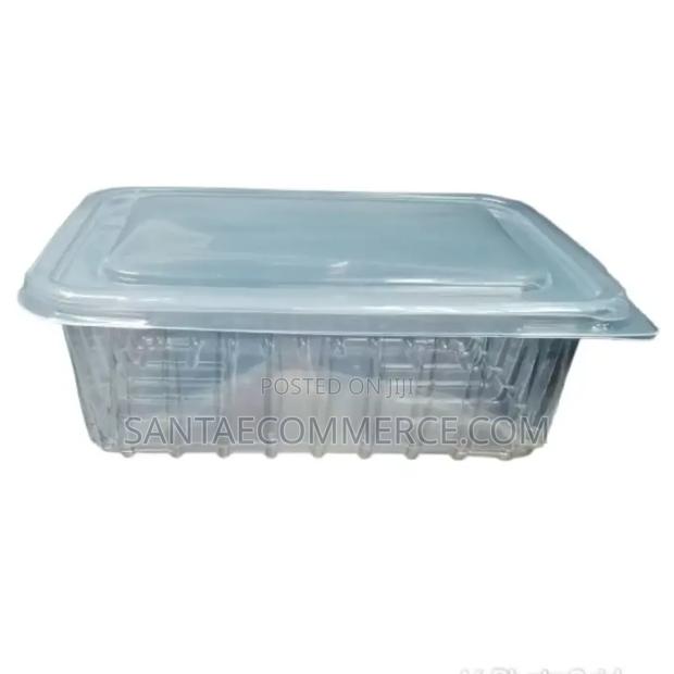 Disposable Plastic Plate - main view