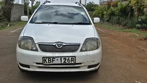 Toyota Corolla Fielder 1.8 Petrol AWD 2002 White