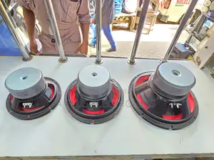Double Magnet Speaker : Xplod 8,10 12 Inch