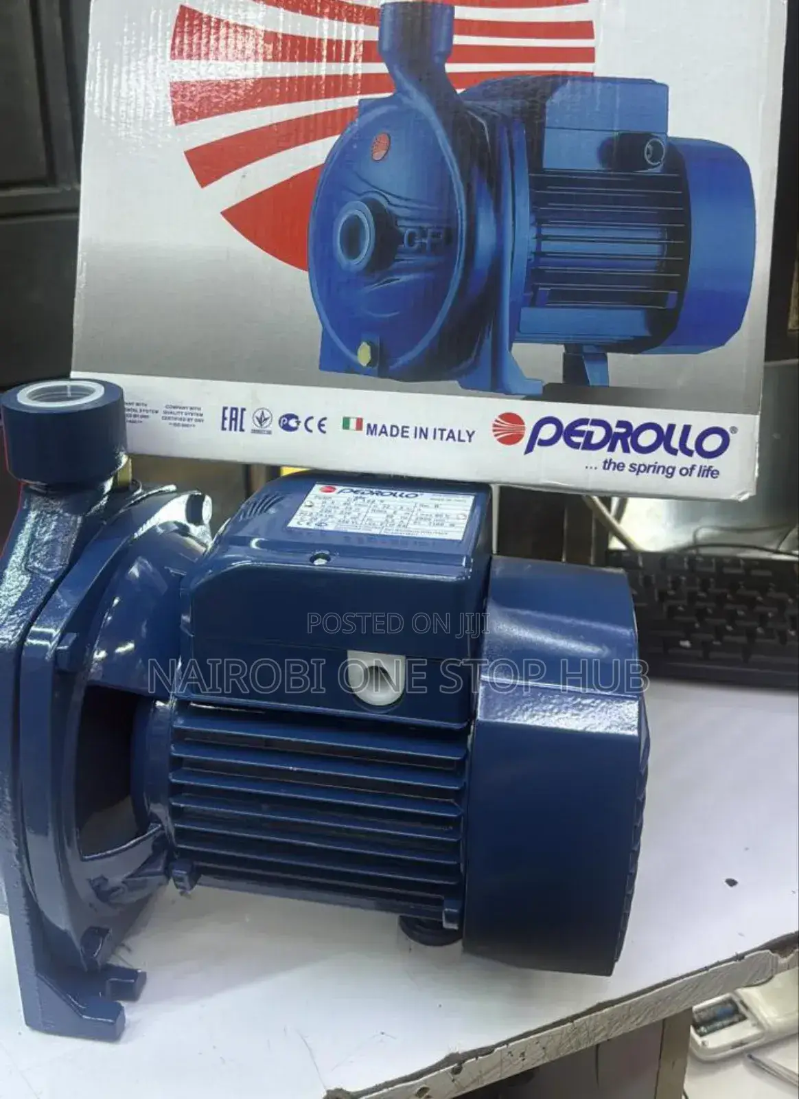 Pedrollo Cp Series Centrifugal Pump