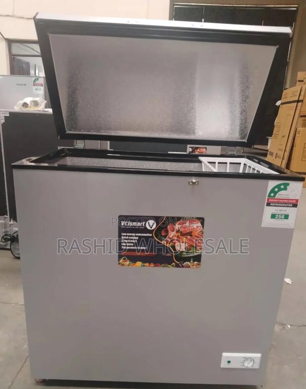 Rebune 60l Deep Freezer