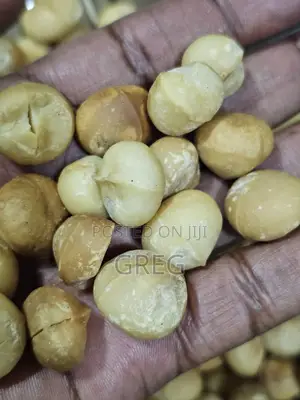 Macadamia Nuts