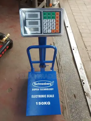 Schneeberg Digital Platform Weighing Scales
