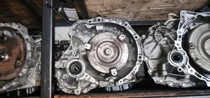 2dl Passo Gearbox