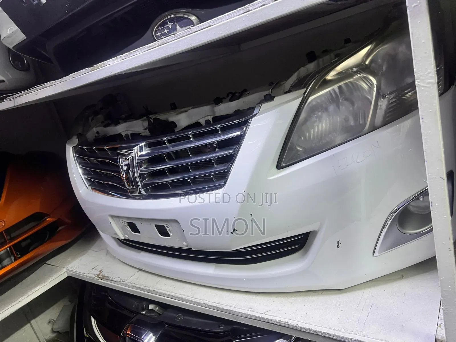 Premio 260 Nosecut Xenon